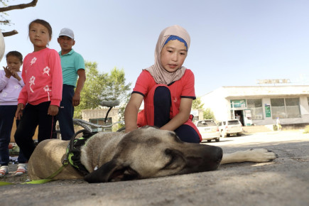Neznost, otrok in Kangal