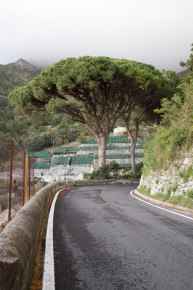 AP_Italia_2014_747