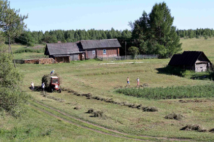 Na podezelju