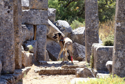 TURKEY_2022_1732