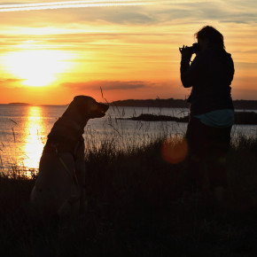 ap_2021_FR_c_0015