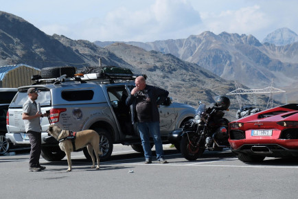 Tonale pass, Stelvi pass, Gavia Pass