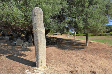 Arheološko najdbišče iz časa prazgodovine