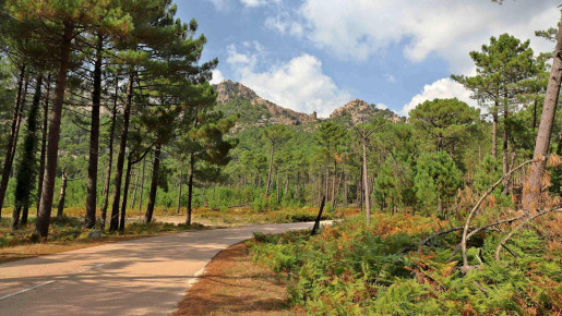Korzika, raj za treking