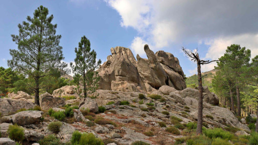Korzika, raj za treking