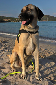 Plaže južne Korzike