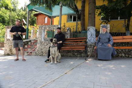 ap_romunija_moldavija_160